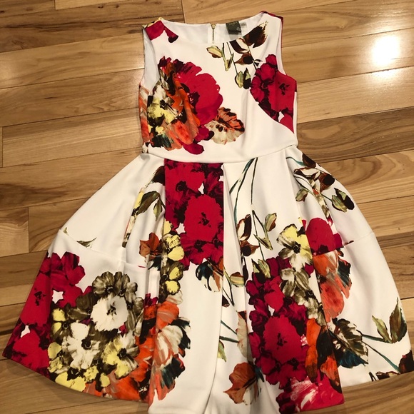 Taylor Dresses & Skirts - Taylor A-line floral dress with pockets.